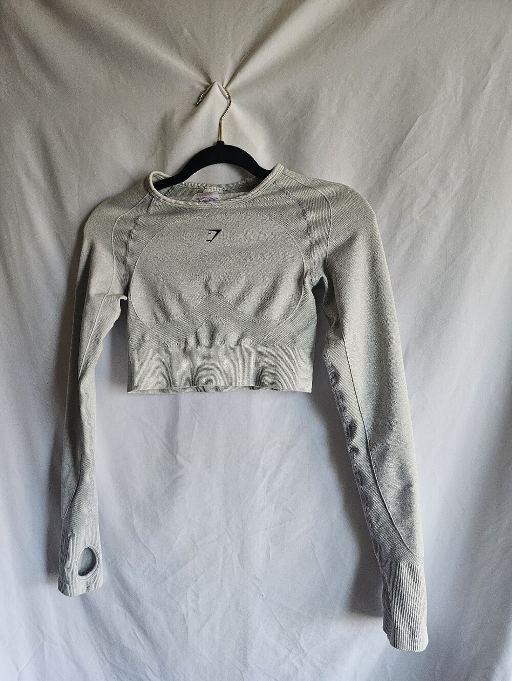 Gymshark Women’s Seamless Long Sleeve Crop Top in Light Gray Small